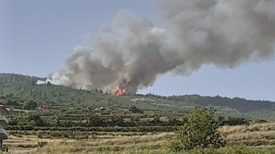 los realejos incendio