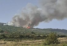 El incendio de Los Realejos sube a nivel dos y ya interviene la UME