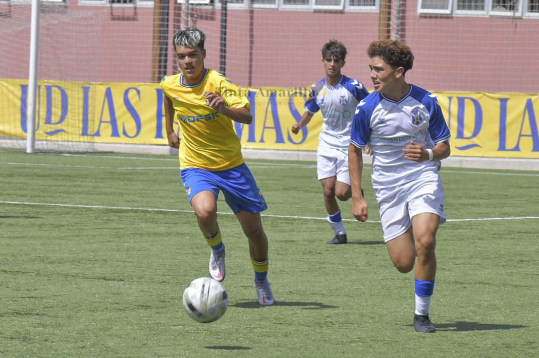tnf cadete