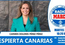 Carmen Pérez: " Tenemos un órgano para debatir la apertura de los comercios los domingos en Santa Cruz"