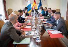 Canarias solicitará al Estado agilizar la resolución del concurso energético en La Palma