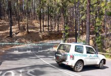 El Cabildo de Tenerife cierra los accesos al Teide hasta el miércoles por las perseidas