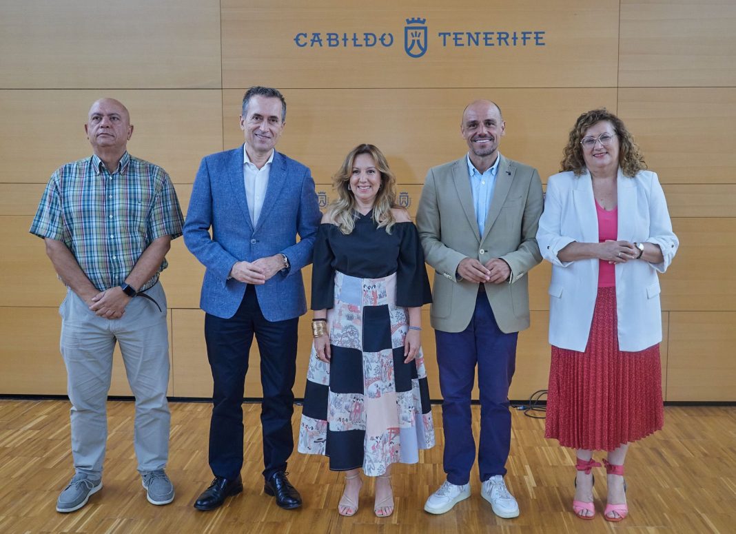 gobierno de canarias y cabildo