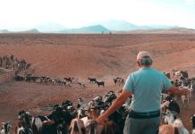 "Desde la Dirección General de Ganadería somos muy conscientes de la necesidad del relevo generacional"