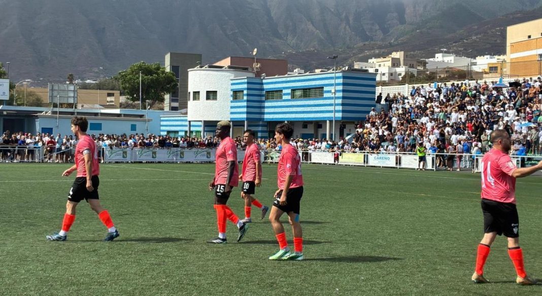 hortaleza guimar